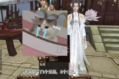 但是诚意人人都爱的爆伤限购宝石各职业从入门到大师都人手一个